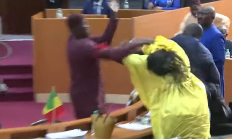 Sénégal - Assemblée : Amy Ndiaye giflée par un Député, bagarre dans  l'hémicycle [Vidéo] - Kassataya Mauritanie