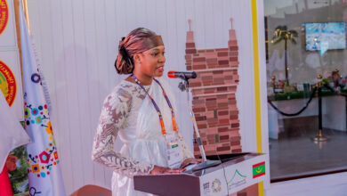 Mme Hawa Abou Moussa Diallo, Commissaire à l'Exposition prononçant son discours inaugural. Photo: TrueVision